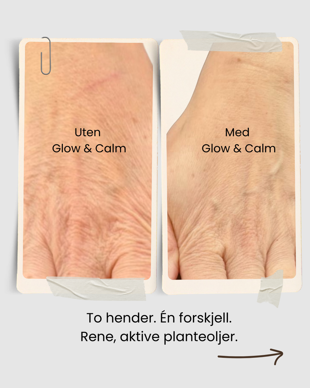 Glow & Calm Serum